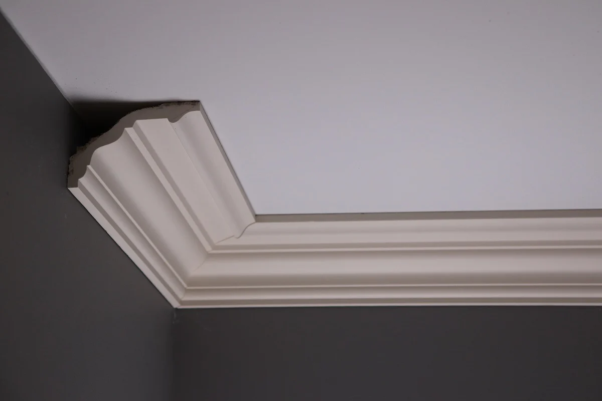 What is the best coving to buy